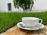 Tasse im Grünen Zu sehen ist eine weiße Kaffeetasse mit Untertasse im Grünen.