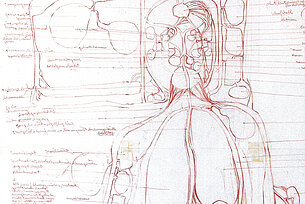 Hermann Nitsch. Drawings
