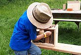 Bau eines Insektenhotels Ein Kind baut mit Werkzeug und Holz ein Insektenhotel.