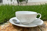 Tasse im Grünen Zu sehen ist eine weiße Kaffeetasse mit Untertasse im Grünen.