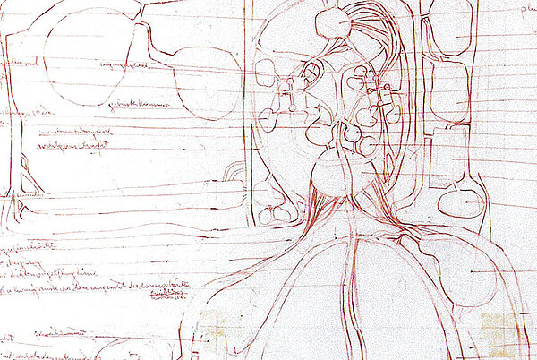 Hermann Nitsch, Architekturzeichnung, 1974 Rote Linien auf weißem Grund,  Zeichnung von Hermann Nitsch