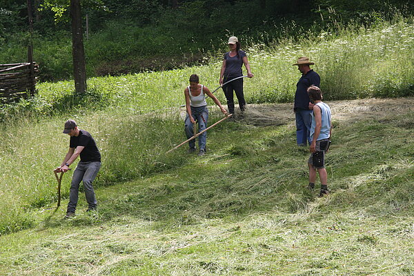 Mähen mit der Sense  Personen beim Sensenmähen im Museumsgelände