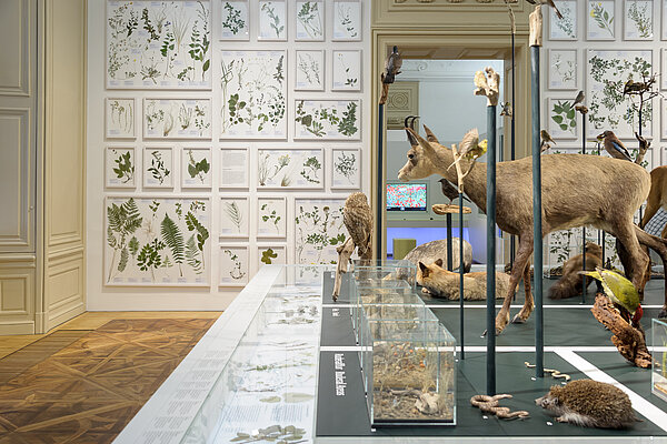 Naturkundemuseum