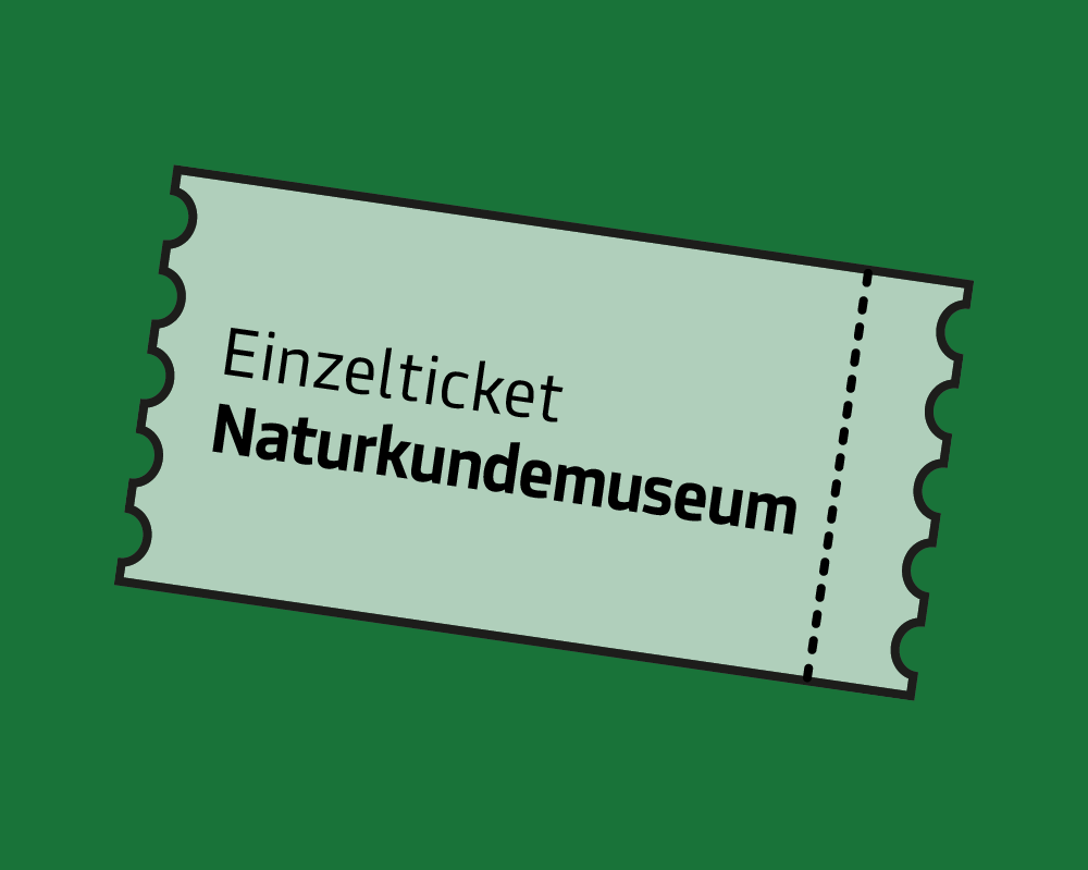 Einzelticket Naturkundemuseum im Joanneumsviertel
