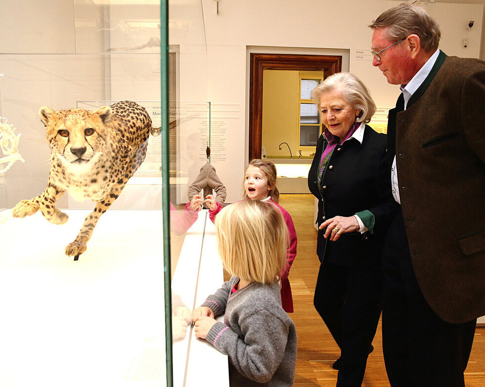 Rundgang Naturkundemuseum